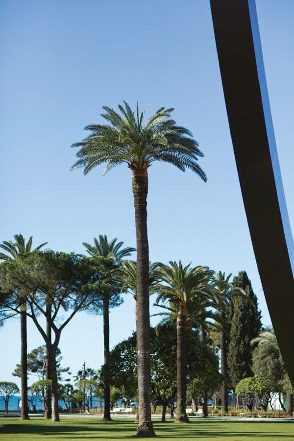 Typique - 2 Bedrooms,typical Apartment-old Town * Nice